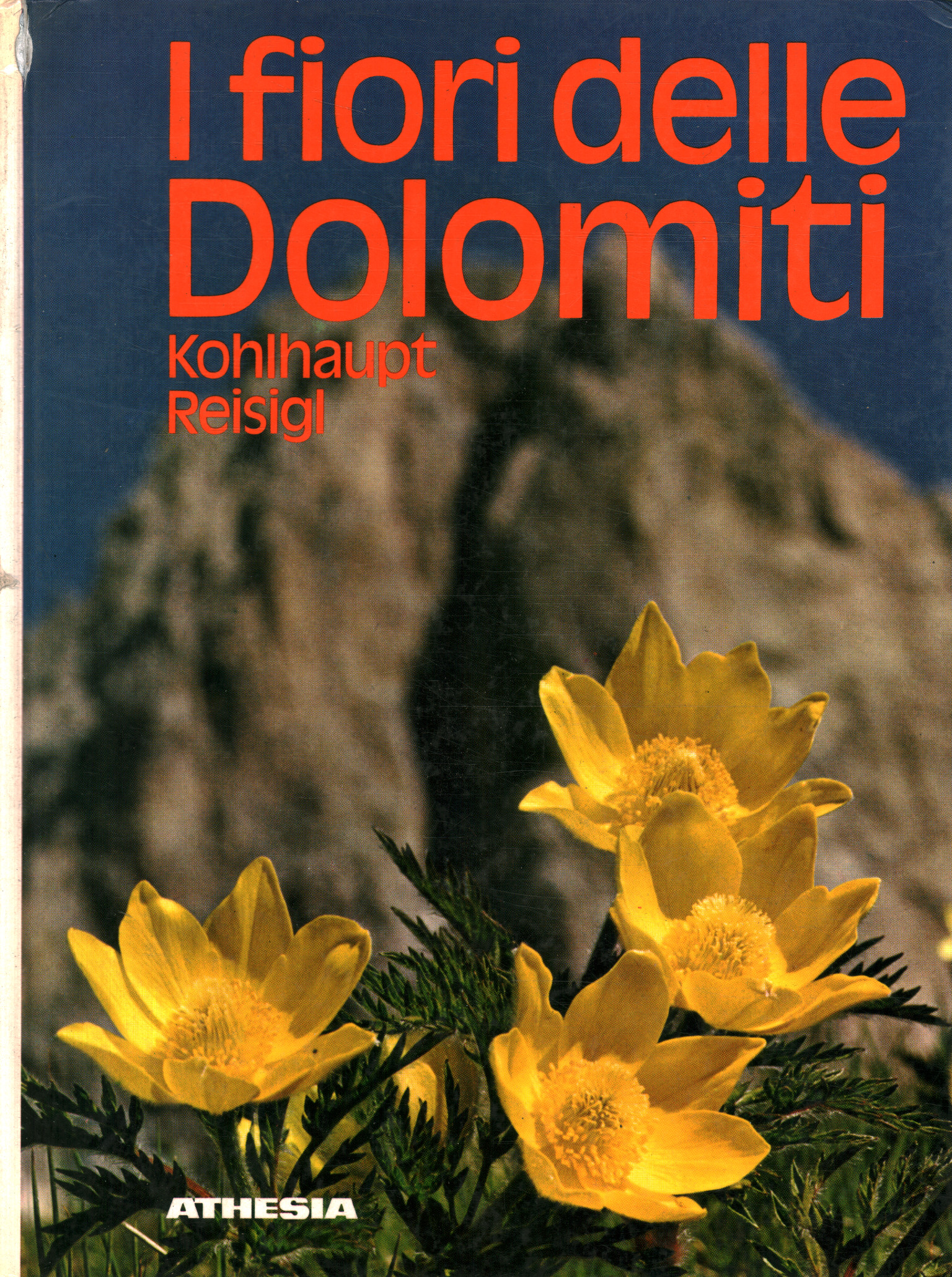 Las flores de los Dolomitas