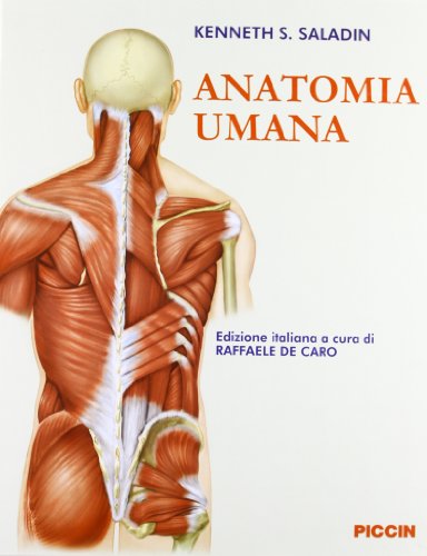 Anatomía humana