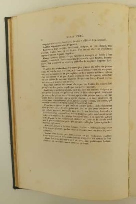 Le Verger ou histoire culture et desc,Le Verger ou histoire culture et desc,Le Verger ou histoire culture et desc,Le Verger ou histoire culture et desc,Le Verger ou histoire culture et desc