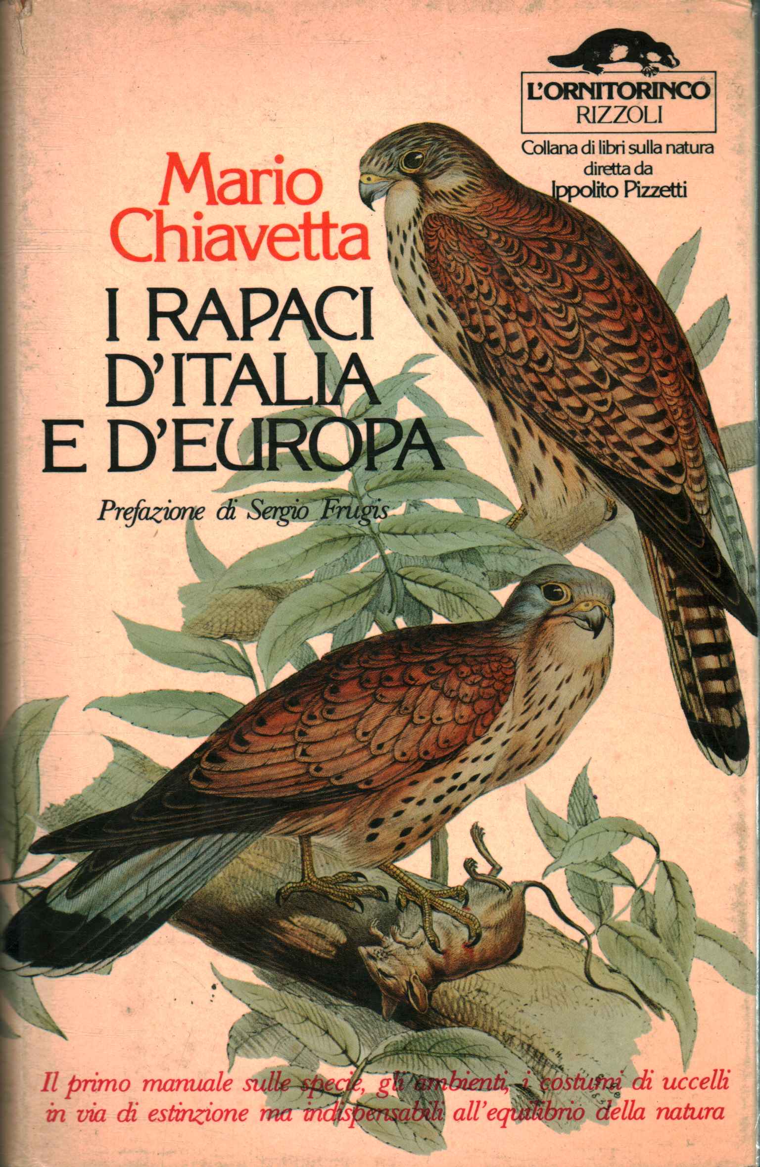 Las aves rapaces de Italia y Europa.