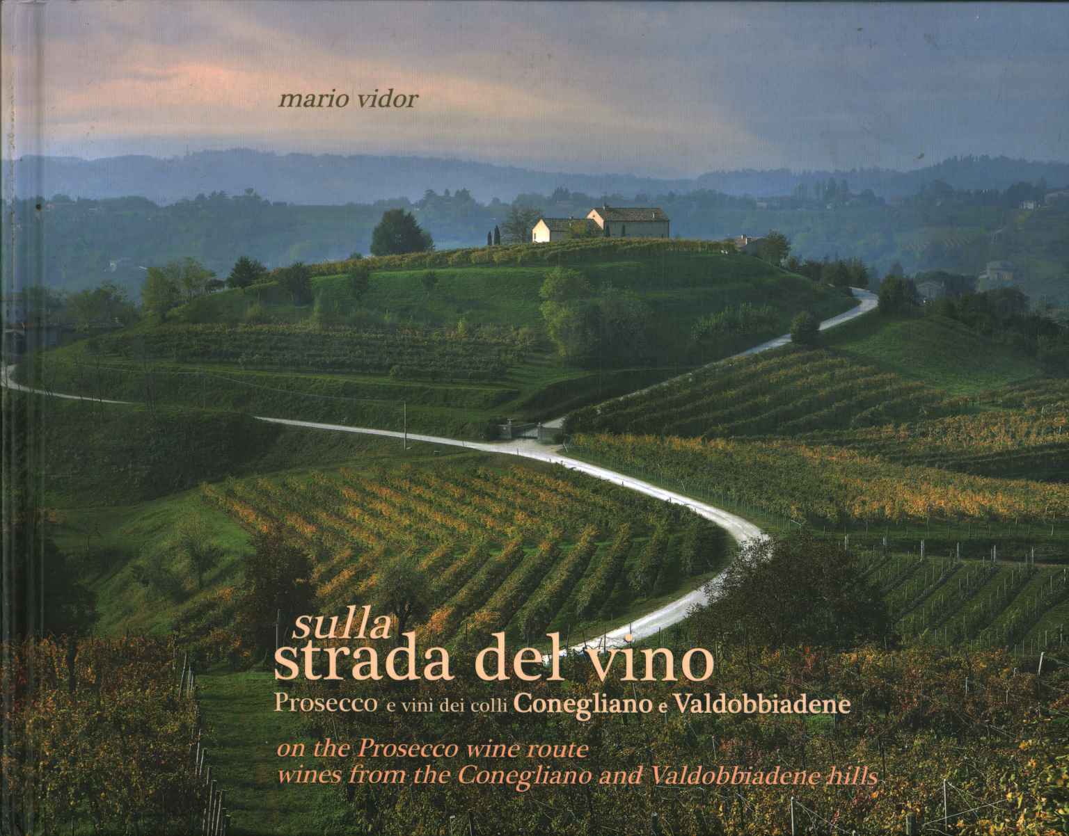 Sulla Strada del vino