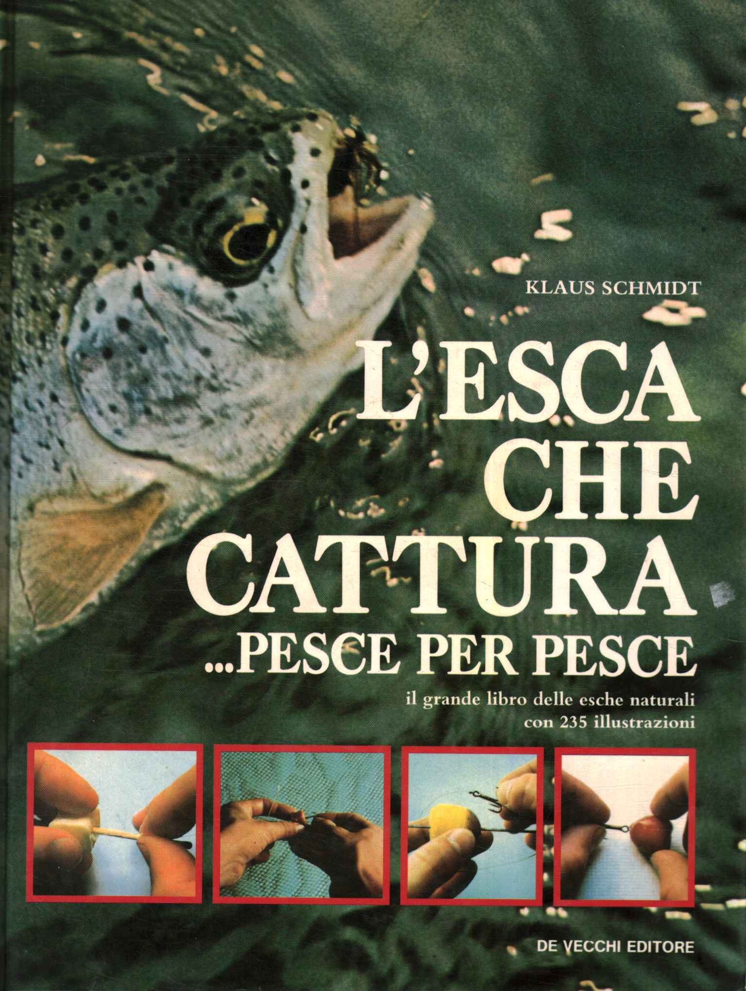 L'esca che cattura... pesce per