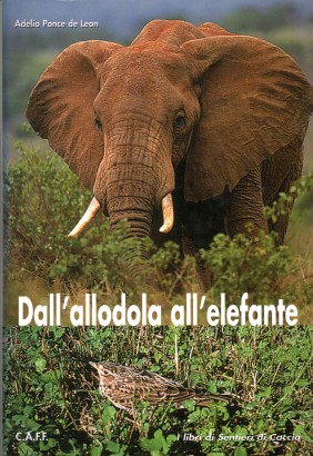 Dall'allodola all'elefante