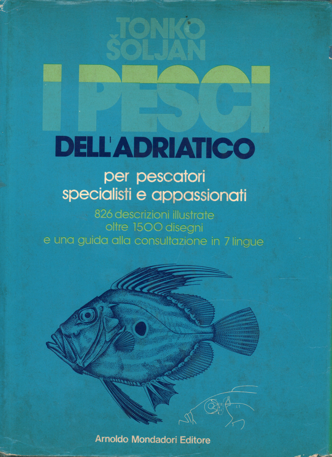 Fish of the Adriatic