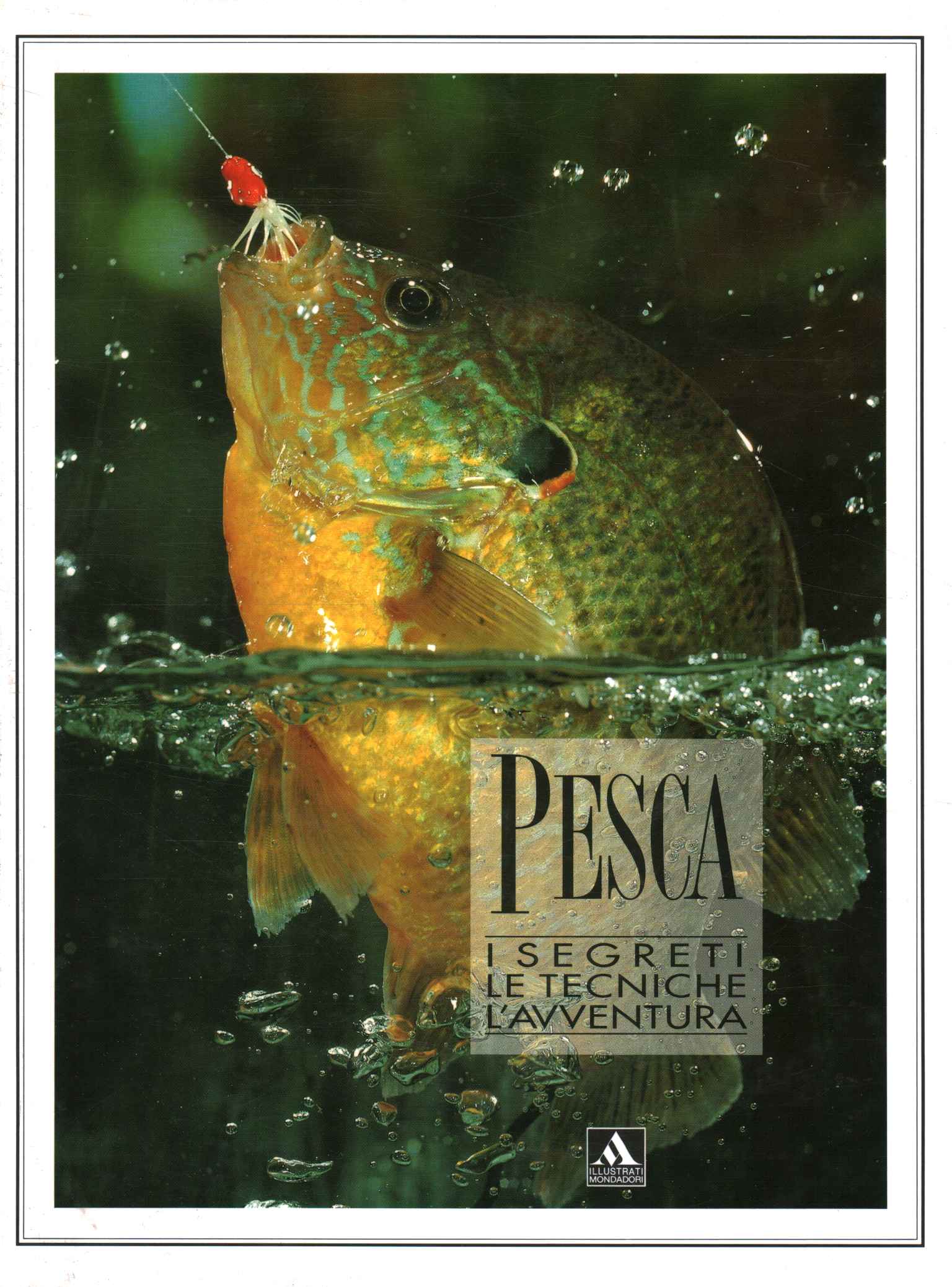 Pesca