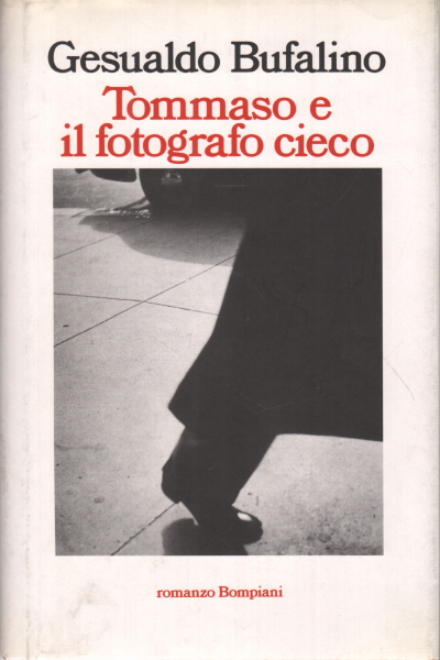 Tommaso and the blind photographer, Gesualdo Bufalino