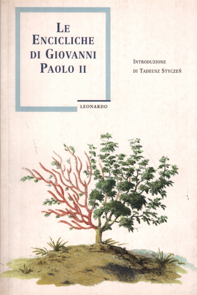 Le Encicliche di Giovanni Paolo II, Giovanni Paolo II