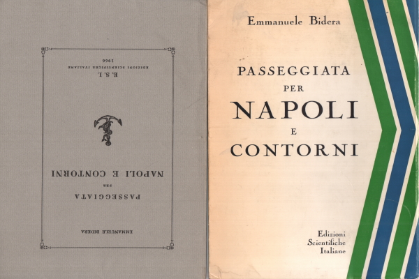 Promenade à travers Naples et ses environs, Emmanuele Bidera