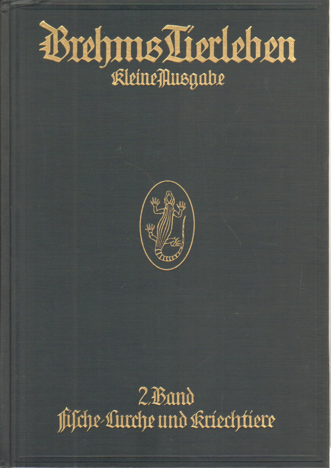 Mourir Physique Lurche und Kriechtiere, Alfred Brehm