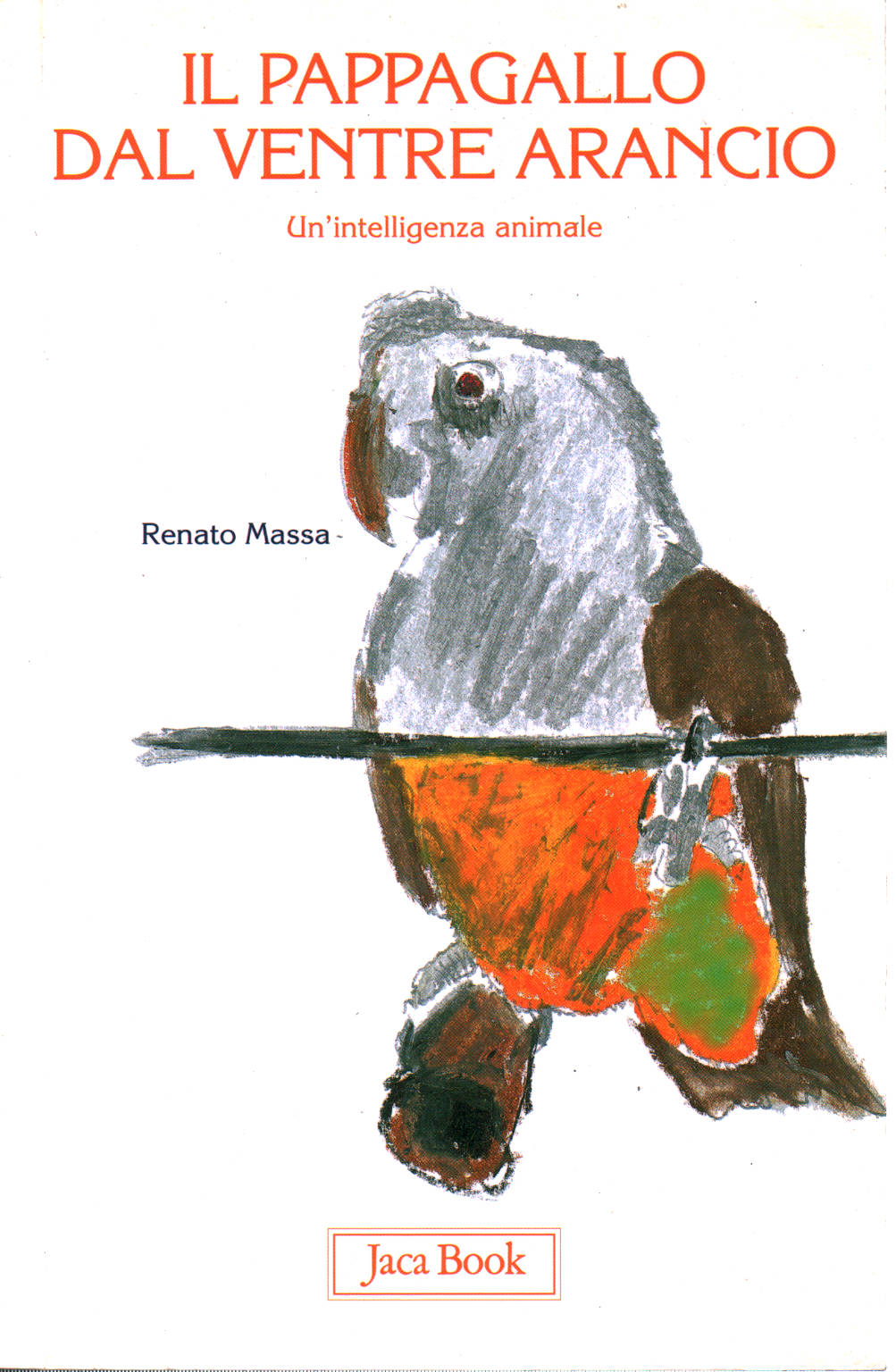 The parrot, from the belly orange, Renato Massa