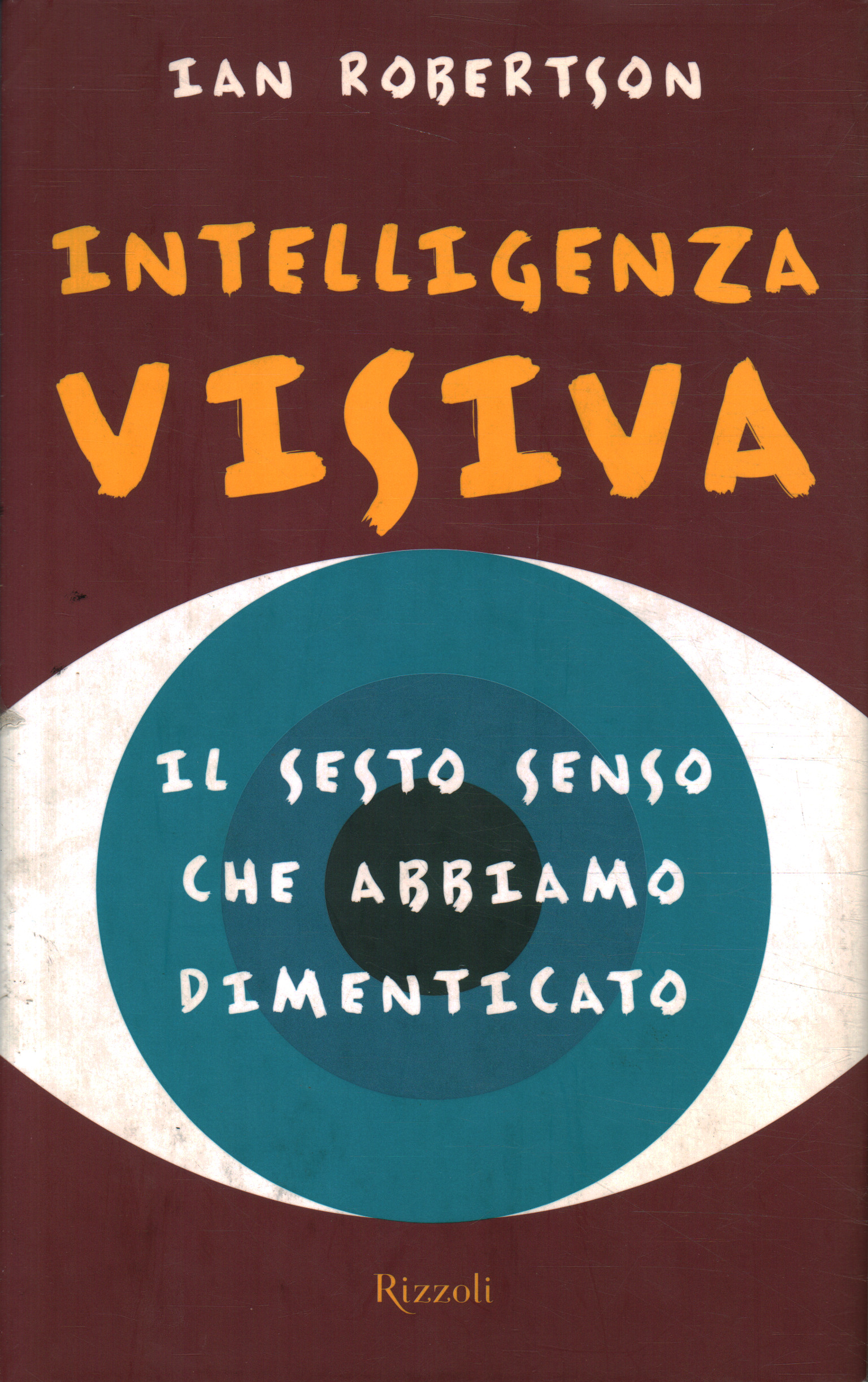 Intelligence visuelle