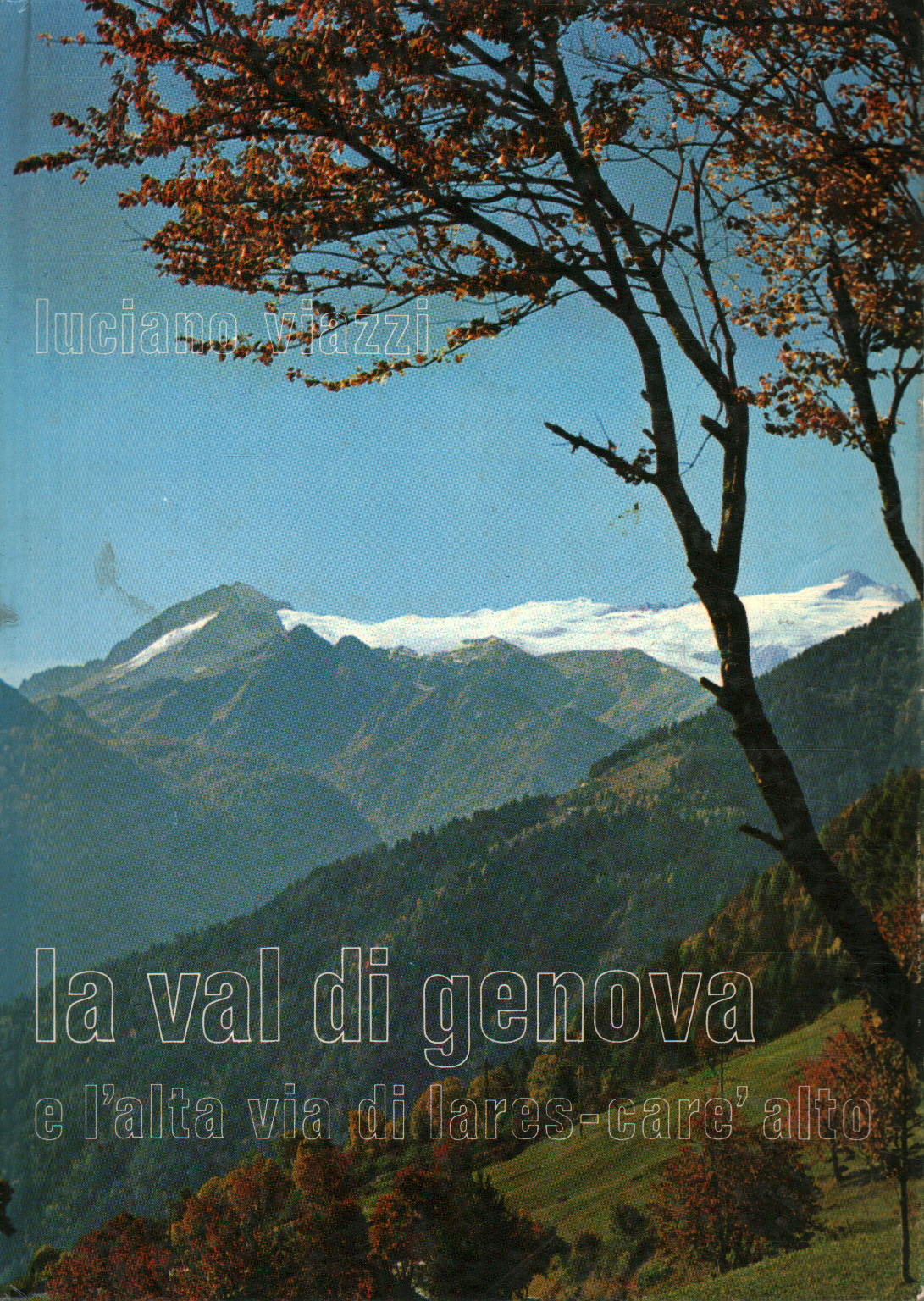 The Val di Genova and the Alta V