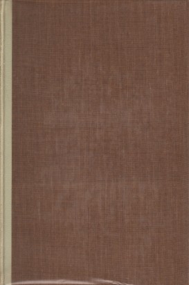 Grande dizionario della Lingua Italiana Volume XIII