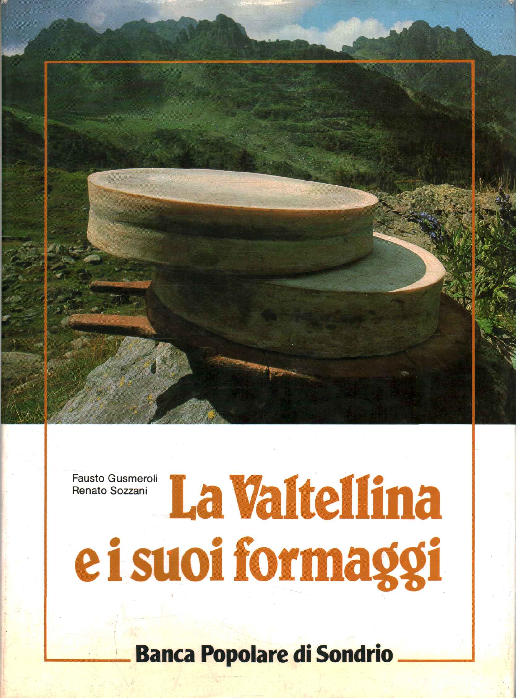 Valtellina and cheeses